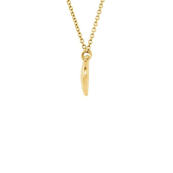 Diamond Accent 10mm Domed Circle Necklace in 14k Yellow Gold 16.5 Inch - Picture 2 of 4